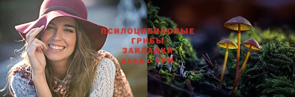 наркотики Алексин