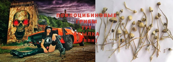 наркотики Алексин