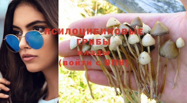 хмурый Алзамай