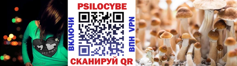 где продают   hydra   Псилоцибиновые грибы MAGIC MUSHROOMS  Абакан 